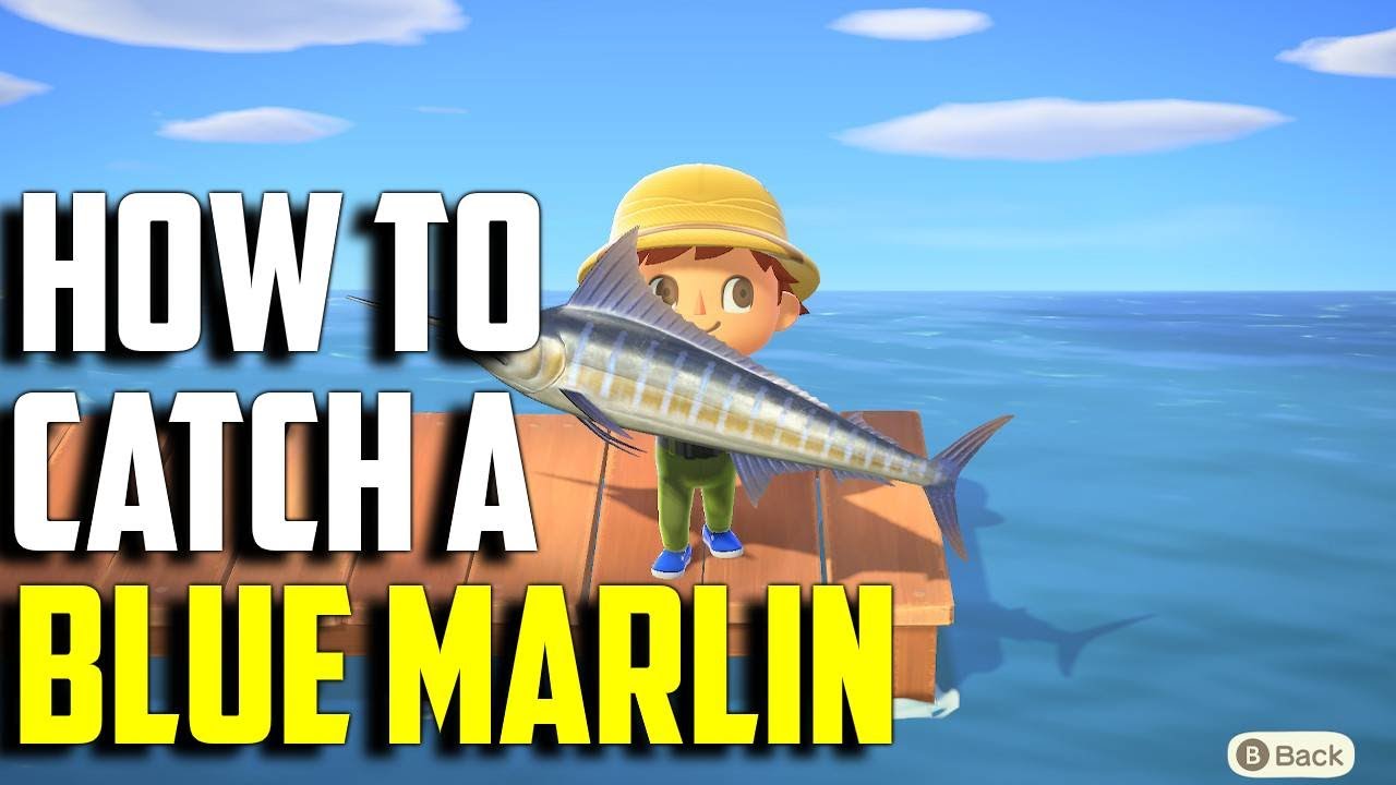 How To Catch Blue Marlin In Animal Crossing: New Horizons